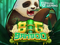 Free casino games13